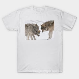 Timber Wolves T-Shirt